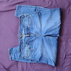 Torrid Jeans Jegging